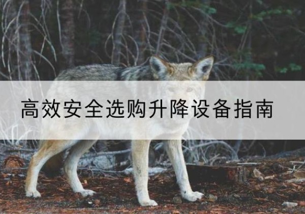 安定升降货梯厂家推荐-*安全选购升降设备指南
