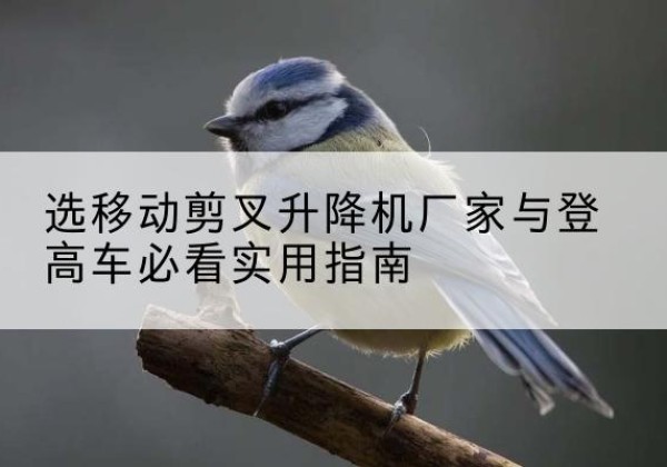 安定电动升降机厂家-选移动剪叉升降机厂家与登高车必看实用指南