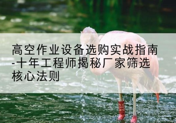 安定剪叉式升降机厂家-高空作业设备选购实战指南-十年工程师揭秘厂家筛选核心法则